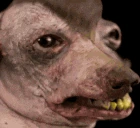 Uruk_hai emote