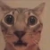omg emote