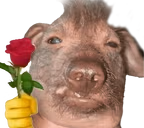 creatureRose emote