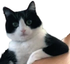GamesWhen emote