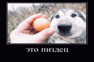 etopizdec emote