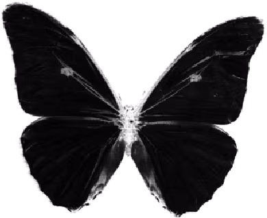 black_butterfly emote