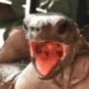 ehh emote