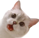 Nana_ayy emote