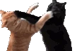 CatFight emote