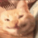 CatSmile emote