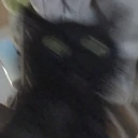 zoom emote