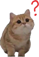 catWhat_questionMark static emote