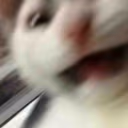 AAAAAAAAAAAA emote