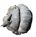 NOBLING emoji