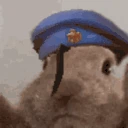 anaVibe emote