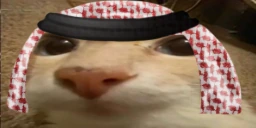 otagHabibi emote
