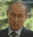 PutinDisappointed emote