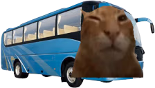 buhs emote