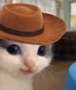 yeehehe emote