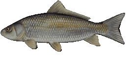 Wahoo emote
