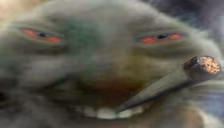xddank emote