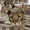 TechSupport emote