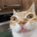 ErmSingingAtYou emote