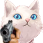 DGF_CatGun emote