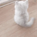 WAITING emote