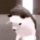 HedgeDance emoji