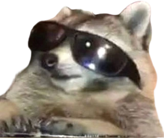 Raccoon_cool emote