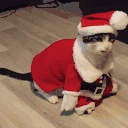 DIESOFCRINGE emote