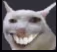 catheh emote