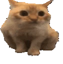 spoingJam emoji