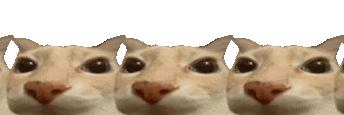 otagConga emote