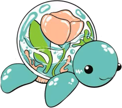 turtle_pod emote