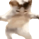 catWiggle emote