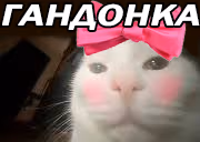 GANDONKA emote