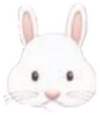 bunny emote