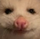 PossU emote