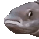 NoddersFish emote