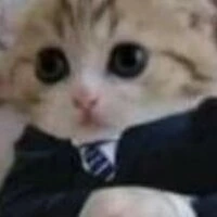 gatodeterno emote