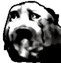 poroAgony emote
