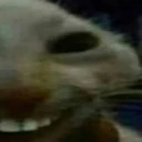 xdd2 emote