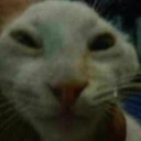 unxdx emote