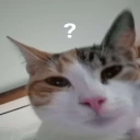 Whar emote