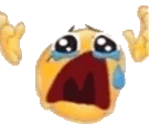 NOOOO animated emote