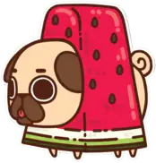 cutedog emote