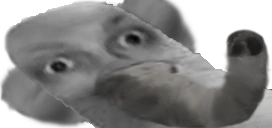 sloniu emote