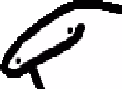 flork_peek emote