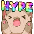 CatHype emote