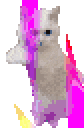 CatTimeRave