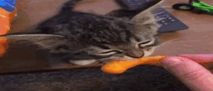 cheeto emote
