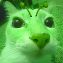 blerpcat emote